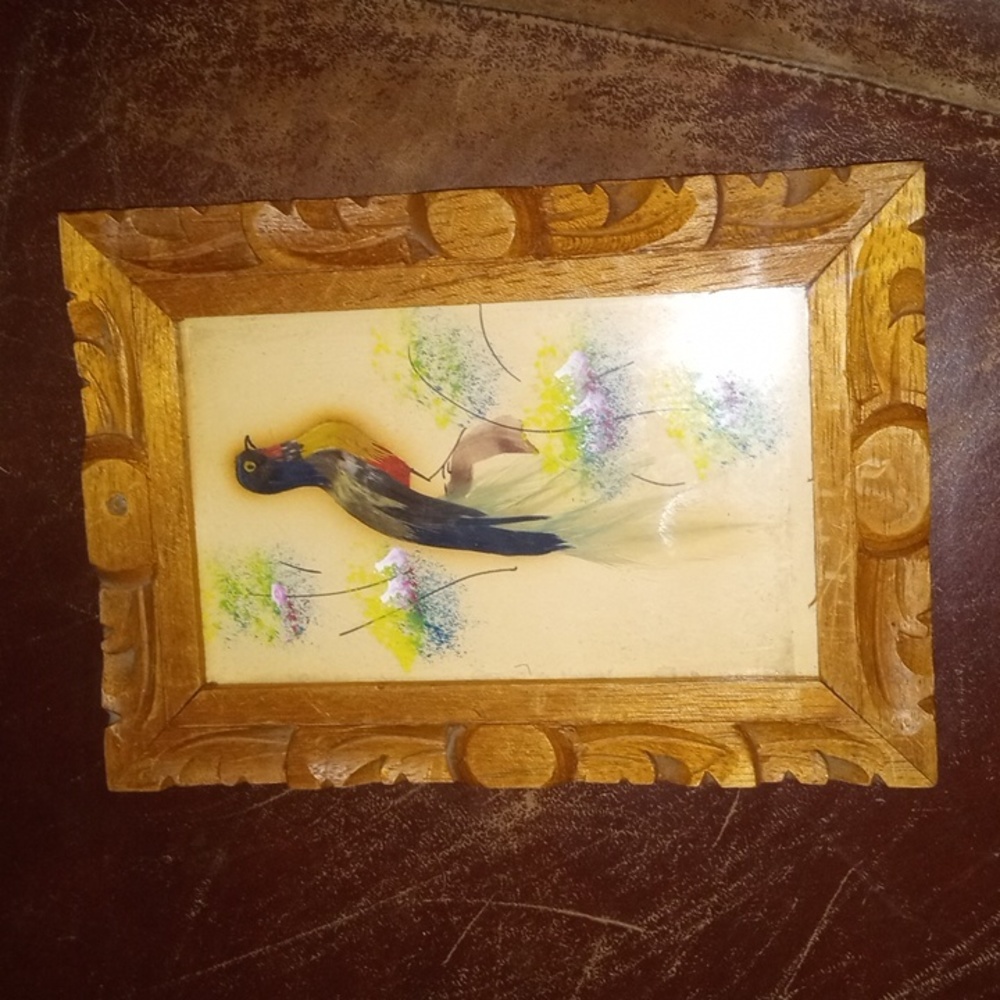 Original Bird Art Hand Carved Frame